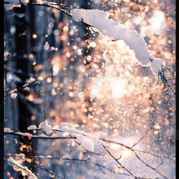 🌙🌑🌜8th Season with Poshmark Warm Wishes🌜🌑🌙 - Picture 5 of 17